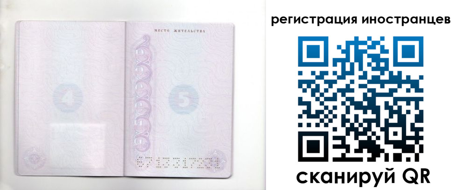 временная регистрация в Дрезне